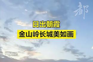 记者：戴尔不会出战霍芬海姆，他今天会在发布会中亮相